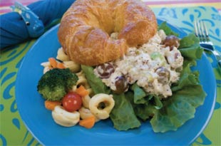 Ott’s Refreshing Vidalia Onion Chicken Salad