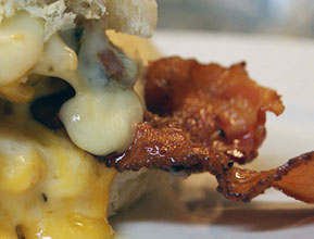 Ott’s Honey Mustard Bacon Chicken Melt